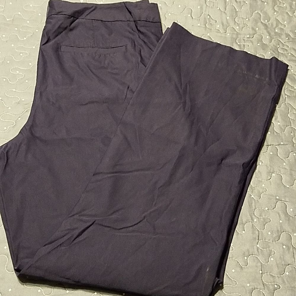 Preston & York blue pants size 10